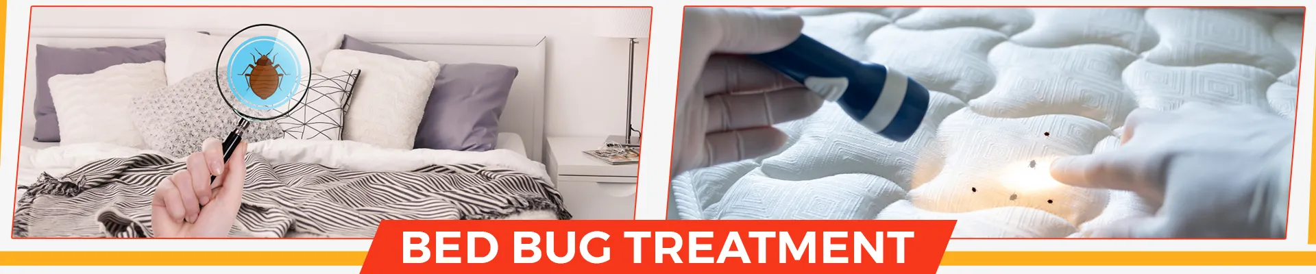 carpet cleaning in suffolk, carpet cleaning suffolk, carpet cleaners in suffolk, carpet cleaners in suffolk, commercial carpet cleaning, commercial carpet cleaning in suffolk, suffolk rug cleaners, rug cleaning services in suffolk, same day carpet cleaning, same day rug cleaning in suffolk