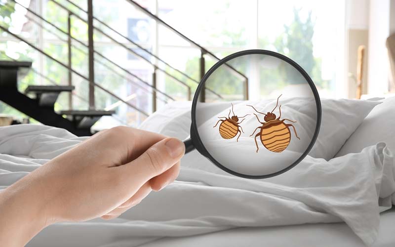 carpet cleaning in suffolk, carpet cleaning suffolk, carpet cleaners in suffolk, carpet cleaners in suffolk, commercial carpet cleaning, commercial carpet cleaning in suffolk, suffolk rug cleaners, rug cleaning services in suffolk, same day carpet cleaning, same day rug cleaning in suffolk