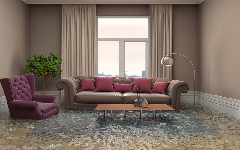 carpet cleaning in suffolk, carpet cleaning suffolk, carpet cleaners in suffolk, carpet cleaners in suffolk, commercial carpet cleaning, commercial carpet cleaning in suffolk, suffolk rug cleaners, rug cleaning services in suffolk, same day carpet cleaning, same day rug cleaning in suffolk