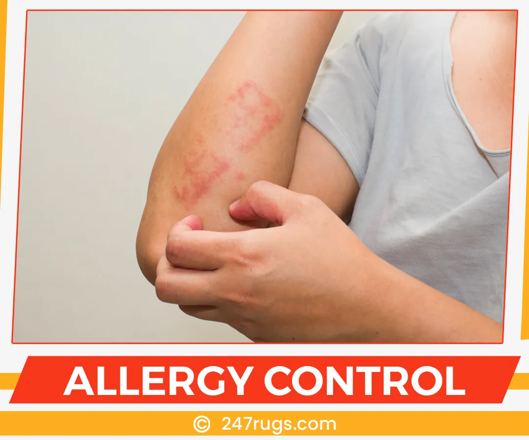 carpet cleaning in suffolk, carpet cleaning suffolk, carpet cleaners in suffolk, carpet cleaners in suffolk, commercial carpet cleaning, commercial carpet cleaning in suffolk, suffolk rug cleaners, rug cleaning services in suffolk, same day carpet cleaning, same day rug cleaning in suffolk